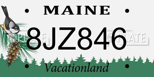 8JZ846 Maine License Plate