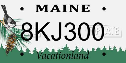8KJ300 Maine License Plate