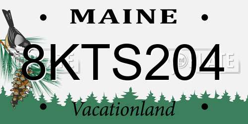 8KTS204 Maine License Plate