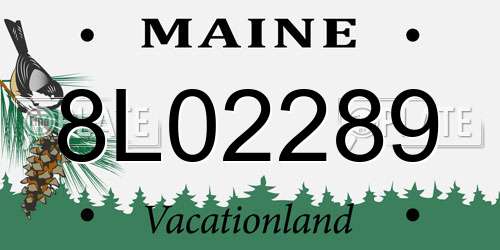 8L02289 Maine License Plate