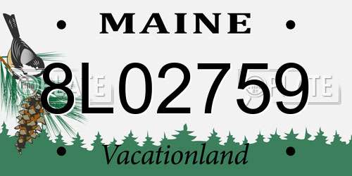8L02759 Maine License Plate