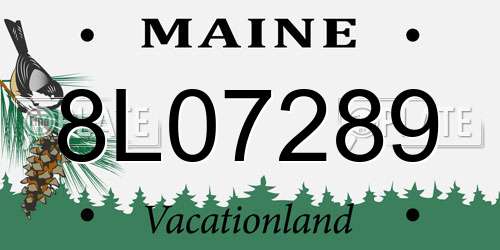 8L07289 Maine License Plate