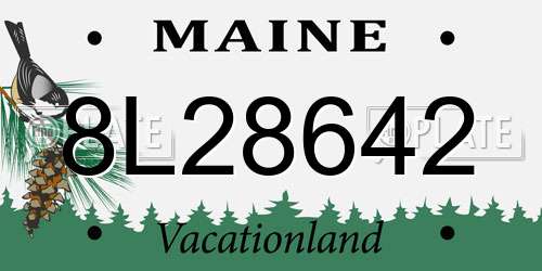 8L28642 Maine License Plate
