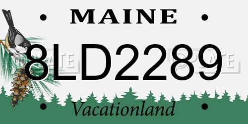 8LD2289 Maine License Plate