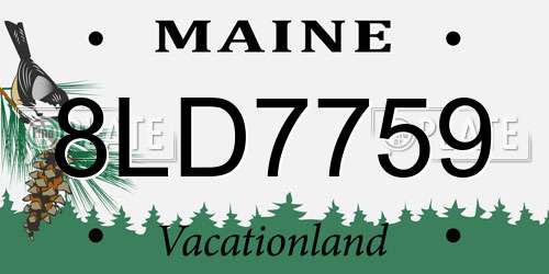 8LD7759 Maine License Plate