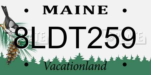 8LDT259 Maine License Plate