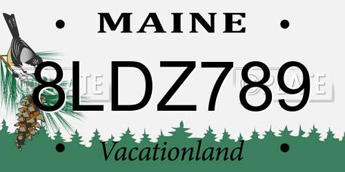 8LDZ789 Maine License Plate