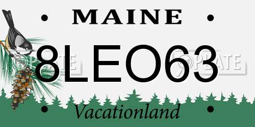 8LEO63 Maine License Plate