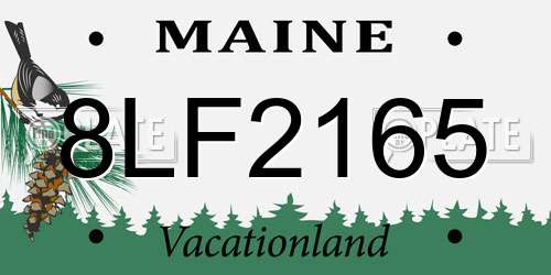 8LF2165 Maine License Plate