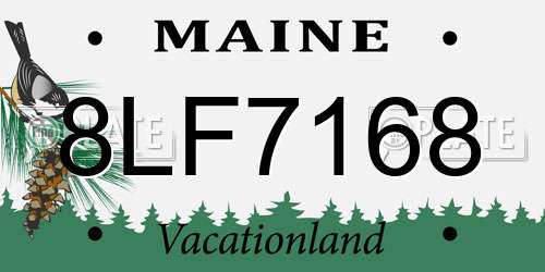 8LF7168 Maine License Plate