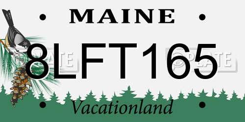 8LFT165 Maine License Plate