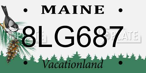 8LG687 Maine License Plate