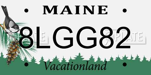 8LGG82 Maine License Plate