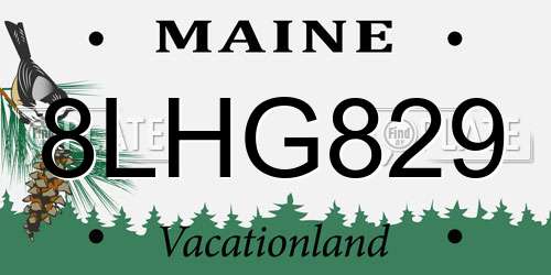 8LHG829 Maine License Plate