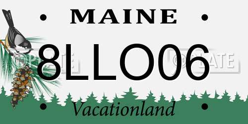 8LLO06 Maine License Plate