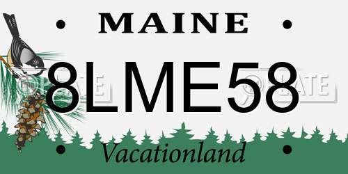 8LME58 Maine License Plate