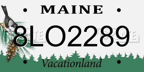 8LO2289 Maine License Plate