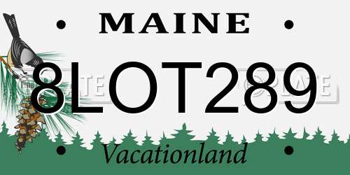 8LOT289 Maine License Plate