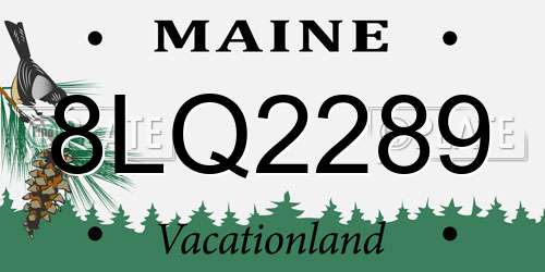 8LQ2289 Maine License Plate