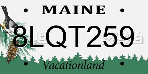 8LQT259 Maine License Plate