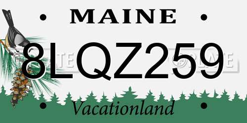 8LQZ259 Maine License Plate