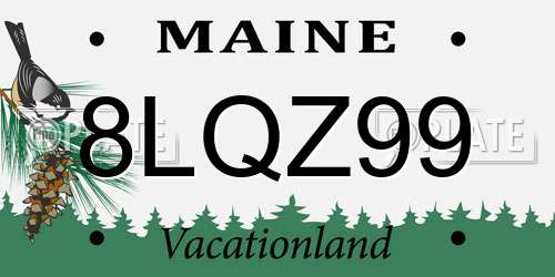 8LQZ99 Maine License Plate