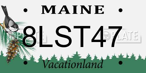 8LST47 Maine License Plate