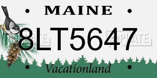 8LT5647 Maine License Plate