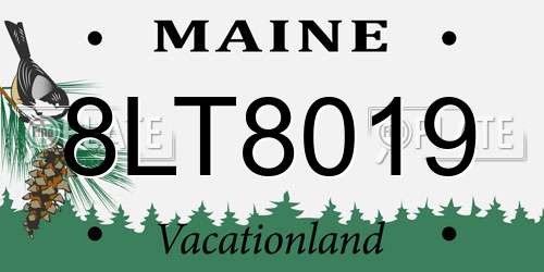 8LT8019 Maine License Plate