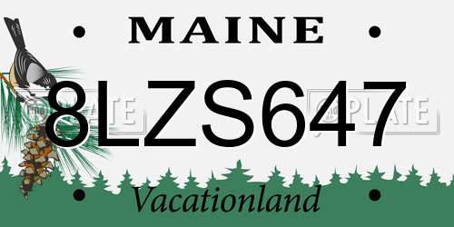8LZS647 Maine License Plate
