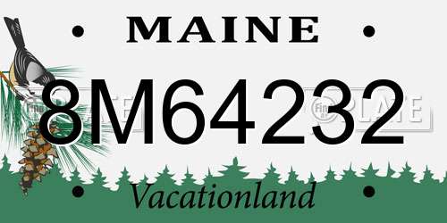 8M64232 Maine License Plate