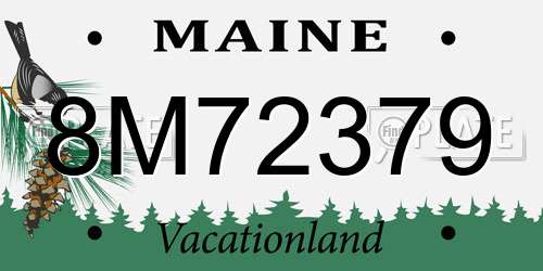 8M72379 Maine License Plate