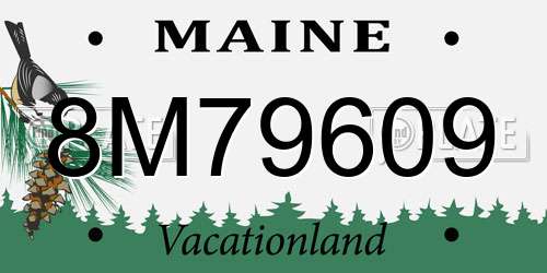 8M79609 Maine License Plate