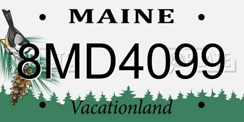 8MD4099 Maine License Plate