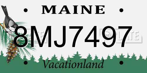 8MJ7497 Maine License Plate