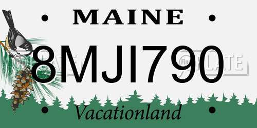 8MJI790 Maine License Plate