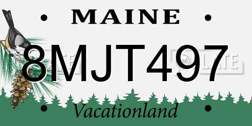 8MJT497 Maine License Plate