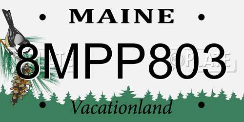 8MPP803 Maine License Plate