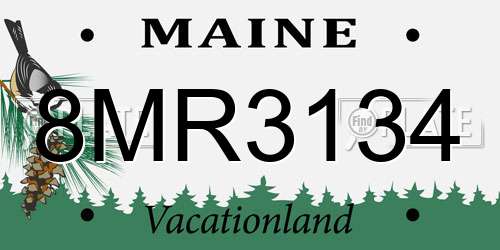 8MR3134 Maine License Plate