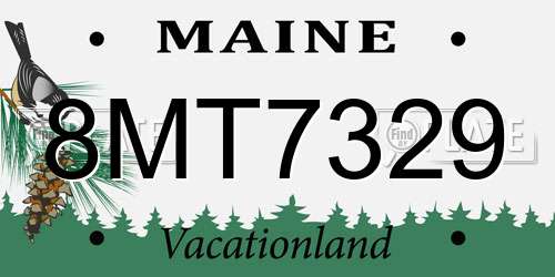 8MT7329 Maine License Plate