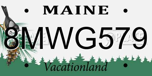 8MWG579 Maine License Plate