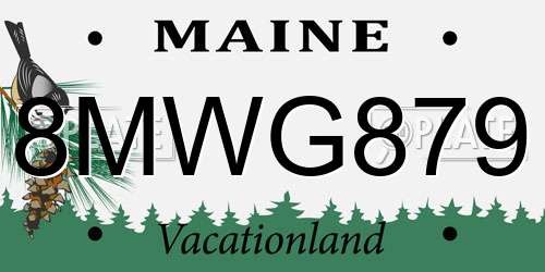 8MWG879 Maine License Plate