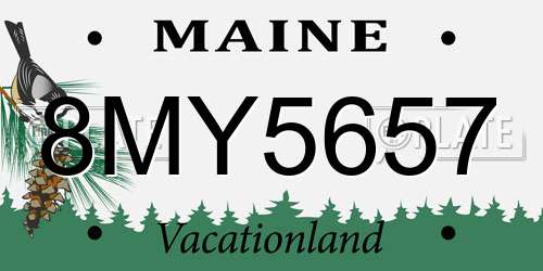 8MY5657 Maine License Plate