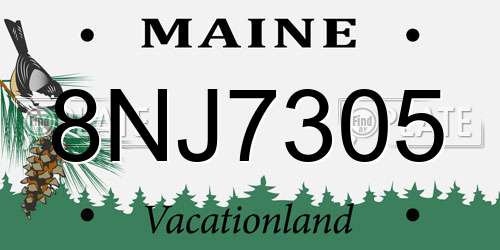 8NJ7305 Maine License Plate