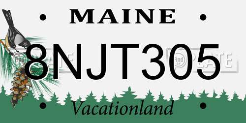 8NJT305 Maine License Plate