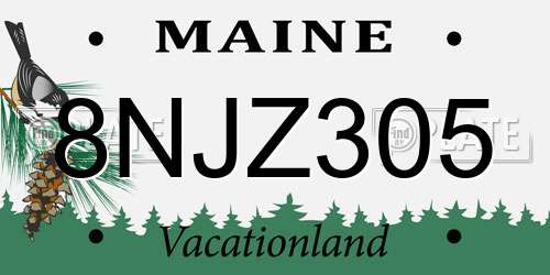 8NJZ305 Maine License Plate