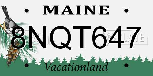 8NQT647 Maine License Plate