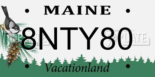 8NTY80 Maine License Plate