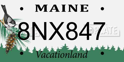 8NX847 Maine License Plate