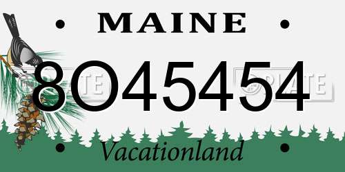 8O45454 Maine License Plate